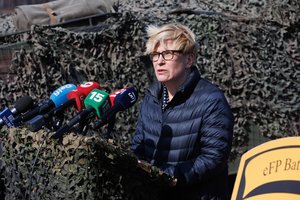 I. Šimonytė apie gegužės 9-ąją: noriu, kad sveiko proto žmonės nesudarytų preteksto kurti Kremliaus propagandą