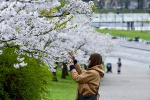 Klimatologas praneša, kokie orai laukia: po Velykų – itin malonūs pokyčiai