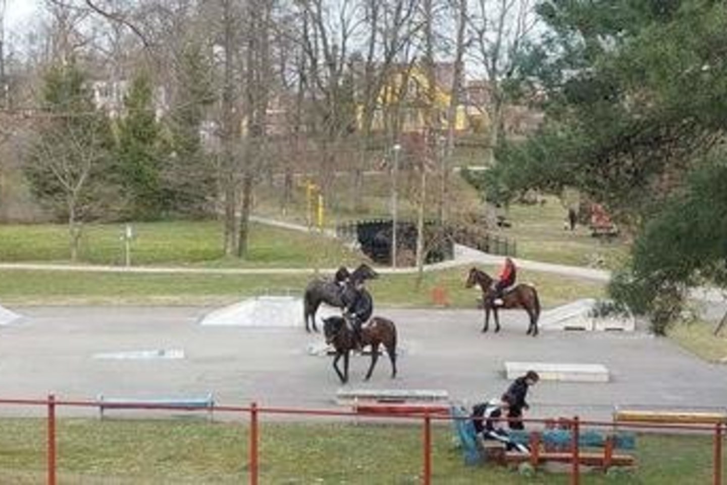 Į redakciją kreipėsi skaitytojai, kurie klausė, ar yra ribojimų jodinėti arkliais po Jurbarką.<br>www.jurbarkosviesa.lt nuotr.