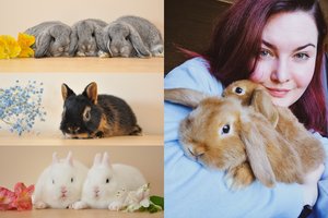 Prieš Velykas sulaukia skambučių antplūdžio – specialiai stengiasi, kad neturėtų ko parduoti klientams