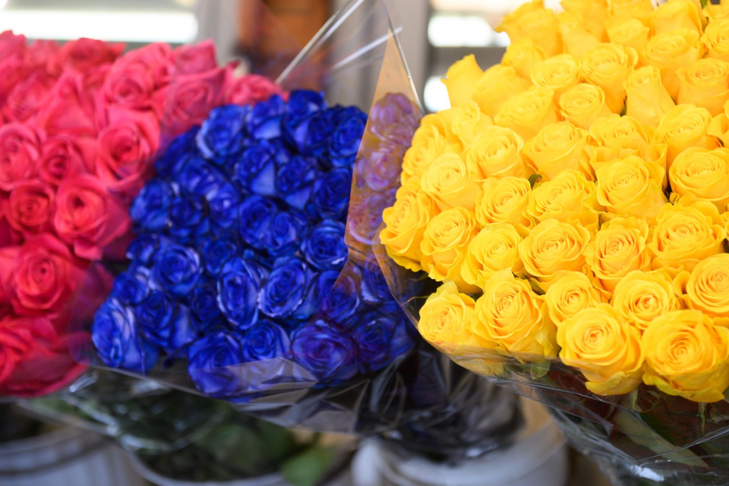 Šiuo metu populiariausios puokštės Vilniuje – iš mėlynų ir geltonų gėlių.<br>V.Skaraičio nuotr.
