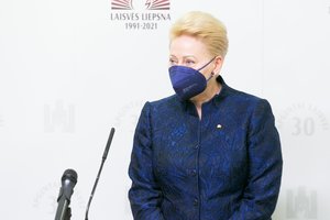 D. Grybauskaitė Ukrainos televizijai: dalis politikų priklausomi nuo pinigų
