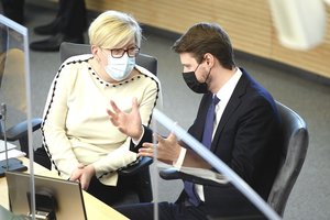 Konservatorių stovykloje – pykčio ir šantažo žiežirbos: M. Majausko provokacijos supykdė ir I. Šimonytę