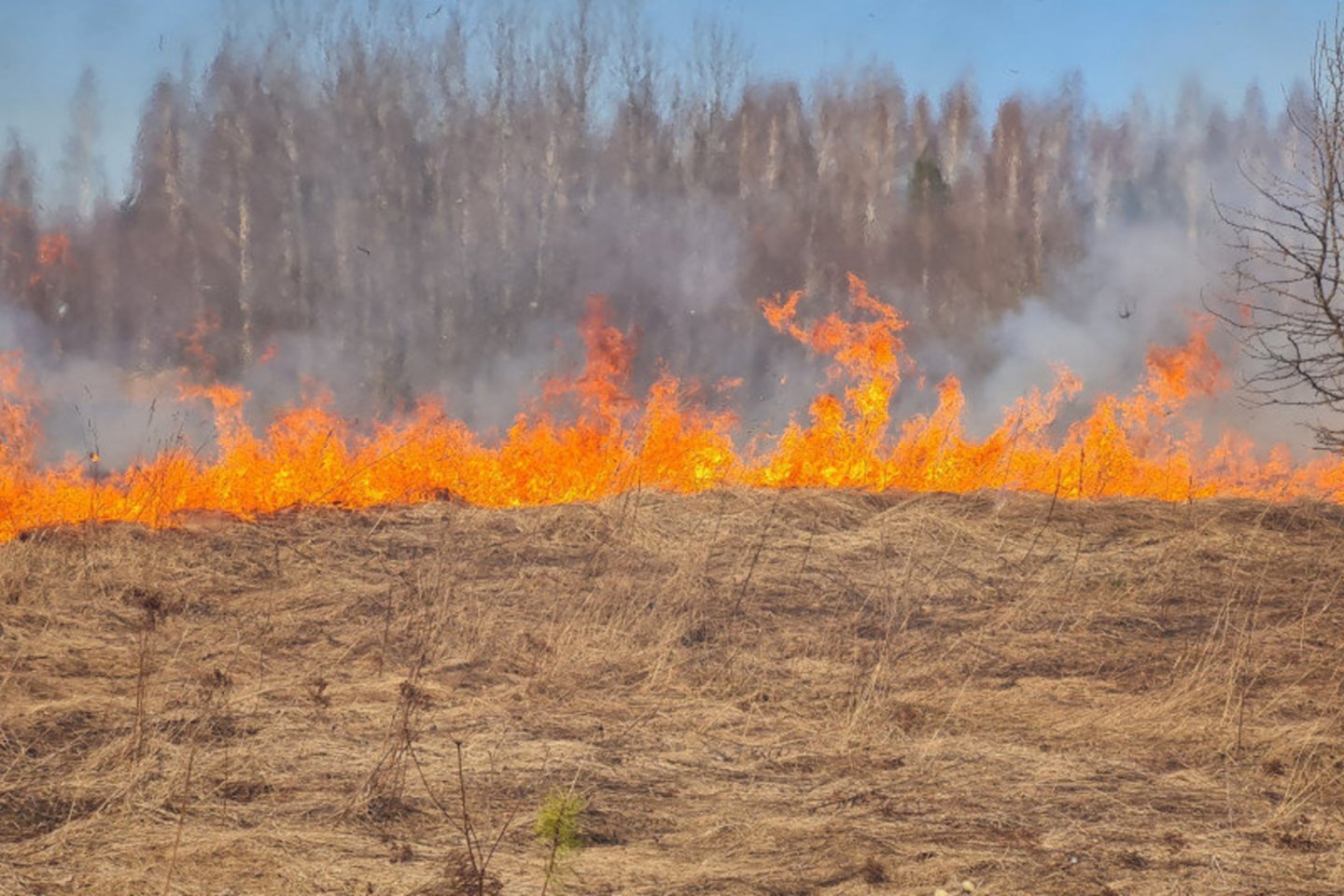  Šventinį savaitgalį Lietuvoje kilo 174 gaisrai – aukų išvengti nepavyko.<br> PAGD nuotr.