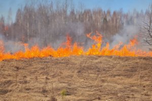 Šventinį savaitgalį Lietuvoje kilo 174 gaisrai – aukų išvengti nepavyko