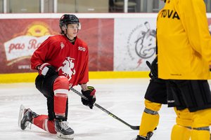 Suomijoje naują kelią praminti bandančiam ledo ritulininkui M. Griniui pasaulio čempionatas gali tapti svarbiausiu karjeroje