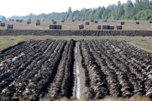 Ūkininko prašymas tarybos taip ir nepasiekė