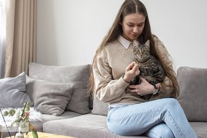 Tiesiai iš gatvės priglausta Šyra – katė su charakteriu: lietuviškos rainės įspūdis gali būti apgaulingas