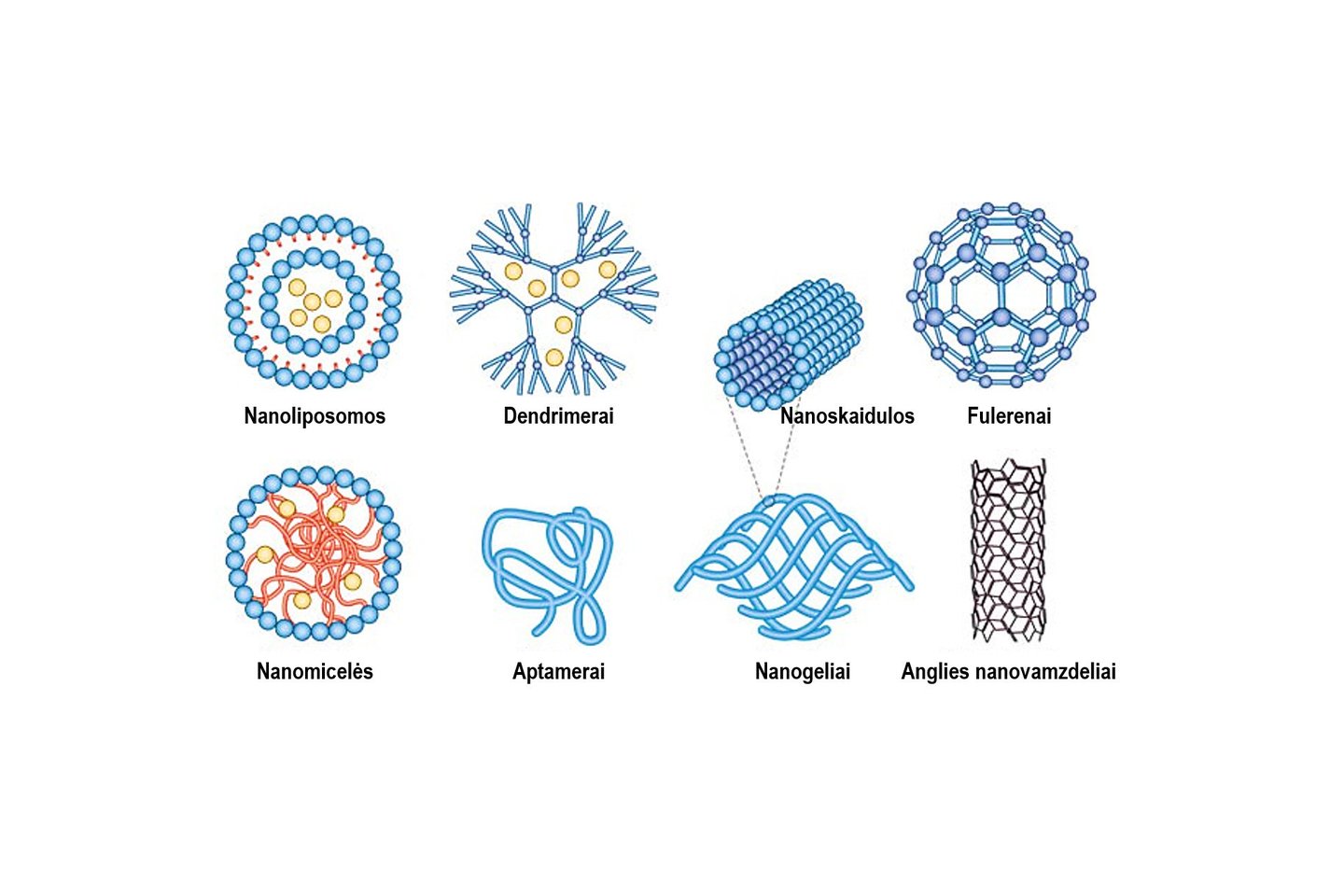  Pav.1: nanodalelės gali būti įvairių formų, struktūrų bei dydžių.