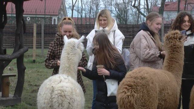 Prieglobstį Lietuvoje radę ukrainiečiai apsilankė zoologijos sode: atskleidė, kas sukėlė didžiausią įspūdį