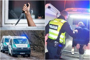 Prieš teismą stojo 13-metę pagrobęs 17-metis: girtas paauglys griebė peilį, auka spėjo išsiųsti pagalbos žinutę