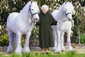 Gimtadienį švenčianti karalienė Elizabeth II paviešino ir naują nuotrauką su mylimais gyvūnais