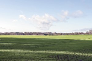 Pasėlių deklaravimas: naujovės, kurias verta žinoti ūkininkams