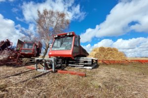 Valant Kuršių marias bus pašalintas rekordinis kiekis taršą kaupiančių augalų