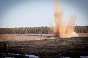 Nematoma karinių poligonų pusė – saugo ne tik žmones, bet ir kai kurias jautrias rūšis