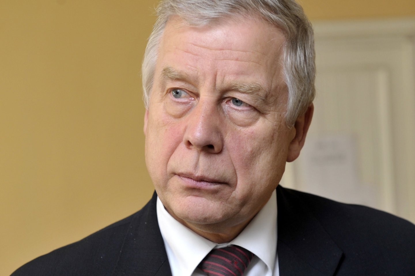 Profesorius Vytautas Usonis<br>R.Neverbicko nuotr.