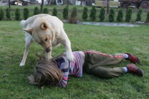 Vienintelė liga, kuria žmogus gali užsikrėsti nuo augintinio, o pasekmės – labai liūdnos: primena simptomus