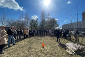 Pagerbė 20 metų įmonėje dirbančius darbuotojus – pasodino kiekvienam po ąžuoliuką