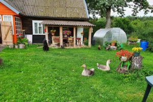 Vilnių į kaimo sodybą iškeitusiai šeimai dėl kaimiškų gyvenimo sąlygų pagrasinta atimti globojamus vaikus