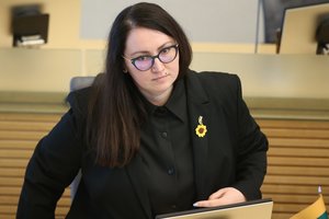 E. Dobrovolska: karo nusikaltėliai nebus saugūs