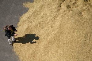 Rumunijos uoste pakrautas pirmas laivas su eksportui skirtais grūdais iš Ukrainos