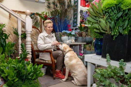 Aukštaitijos sostinėje šunys prie durų pavergia klientų širdis: pasitinka nykštukinis bulterjeras ir gauruota auksaspalvė labradorė