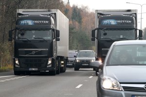 Vairuotojai raginami būti apdairūs: gegužę – žvėrių migracijos pikas, todėl avarijų metuose daugiausia