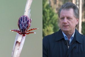 Profesorius įvardijo, kokie simptomai pasireiškia susirgus erkiniu encefalitu