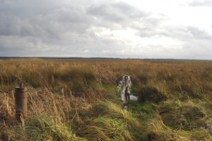 Išaiškino dar kartą visiems: kodėl įteisinti vandens gręžinius apsimoka, ir kaip galima išlošti