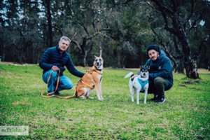 Iš Ukrainos į Lietuvą atvykusi šeima prieglaudoje rado naują narį: netrukus išgelbėjo dar vieną šuniuką iš statybvietės Kijeve