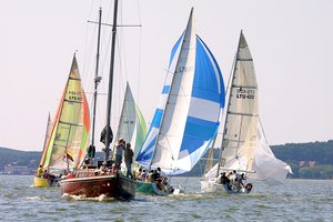 Įdomiosios istorijos vingiais: kaip buvo pakinkytas vėjas