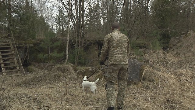 Vilniaus rajone vyksta mokymai Ukrainos pasieniečiams kinologams ir jų šunims: mokosi ieškoti minų