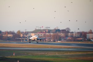 Kauno ir Vilniaus oro uostuose – naujos tiesioginių skrydžių kryptys
