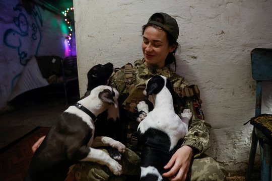 Vienu geru darbu galite padėti dvigubai: priglaudę beglobį iš Lietuvos, padėsite ir augintiniams iš Ukrainos