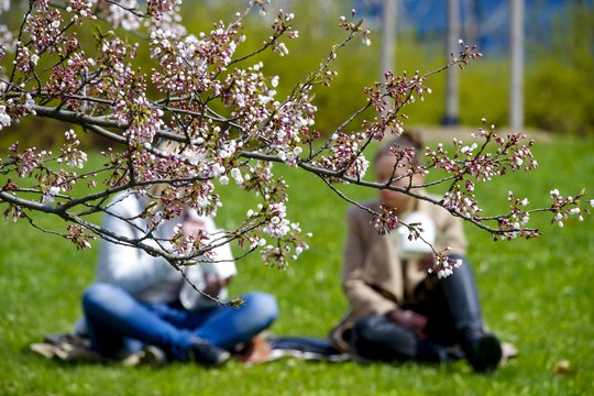 Gyvenimo kokybės indeksas: pirmose vietose – trys didieji miestai, paskutinė – Kalvarija