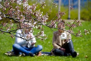 Gyvenimo kokybės indeksas: pirmose vietose – trys didieji miestai, paskutinė – Kalvarija