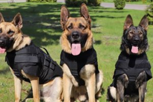 Keturkojams Ukrainos gynėjams – gyvybes gelbėjanti siunta