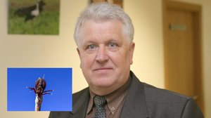 Gamtos tyrinėtojas S. Paltanavičius pasakė, kaip apsisaugoti nuo erkių ir kodėl kai kuriuos žmones jos puola dažniau