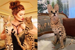 30 tūkst. į kates investavusi ir jas praradusi G. Asipauskaitė: „Verkiau, šaukiau, bet pareigūnai nieko nepaisė“