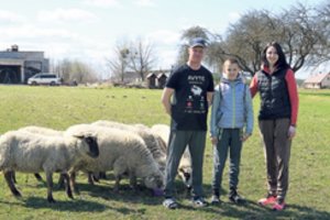 Kaime įsikūrusios šeimos džiaugsmas – egzotiškosios alpakos