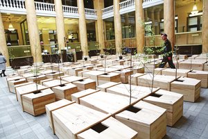 Žymios menininkės karstuose pasodintus medelius teks atnaujinti: paaiškėjo, kodėl augalai nuskurdo