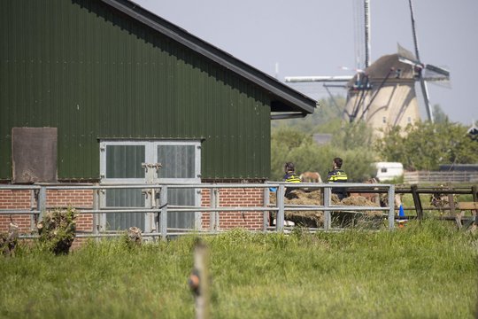 Nyderlanduose gyvūnų terapijos ūkyje nušauti du žmonės