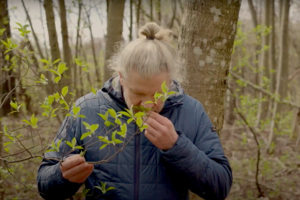 Pavasarį pats metas nerti į miško maudynes