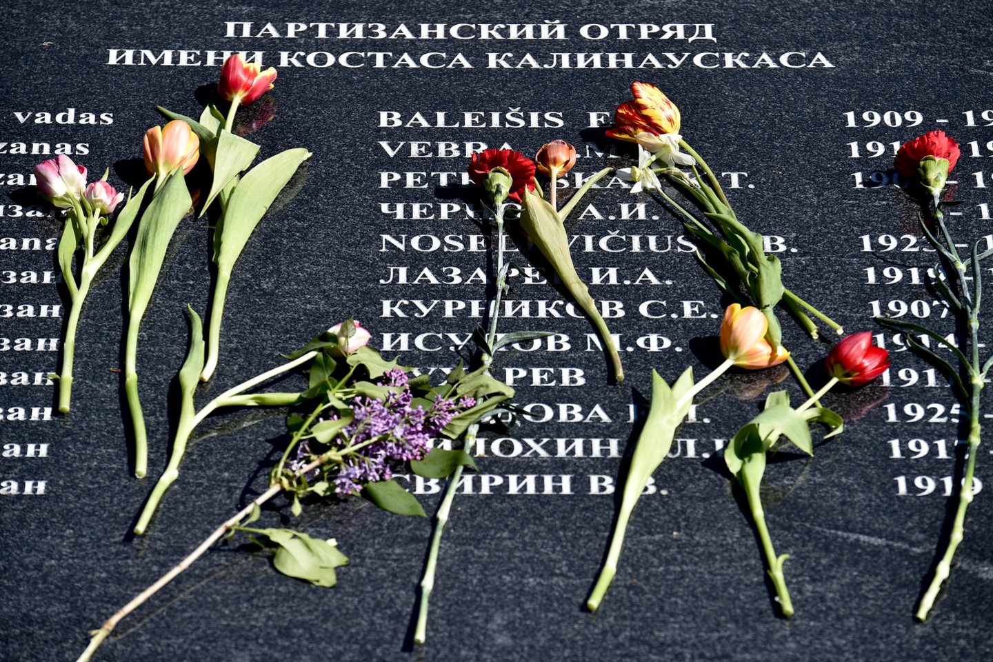 Vilniaus miesto savivaldybė Antakalnio kapinių prieigose pastatė šešis stendus su nuotraukomis iš Ukrainos, taip siekdama priminti apie naują Rusijos pradėtą karą.<br>V.Ščiavinsko nuotr.
