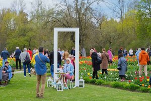 Tokia šventė Lietuvoje švenčiama tik Burbiškio dvare: tikimasi, kada pražys milijonas tulpių žiedų