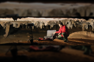 Aptikti didžiausi iki šiol žinomi JAV indėnų urvų meno piešiniai