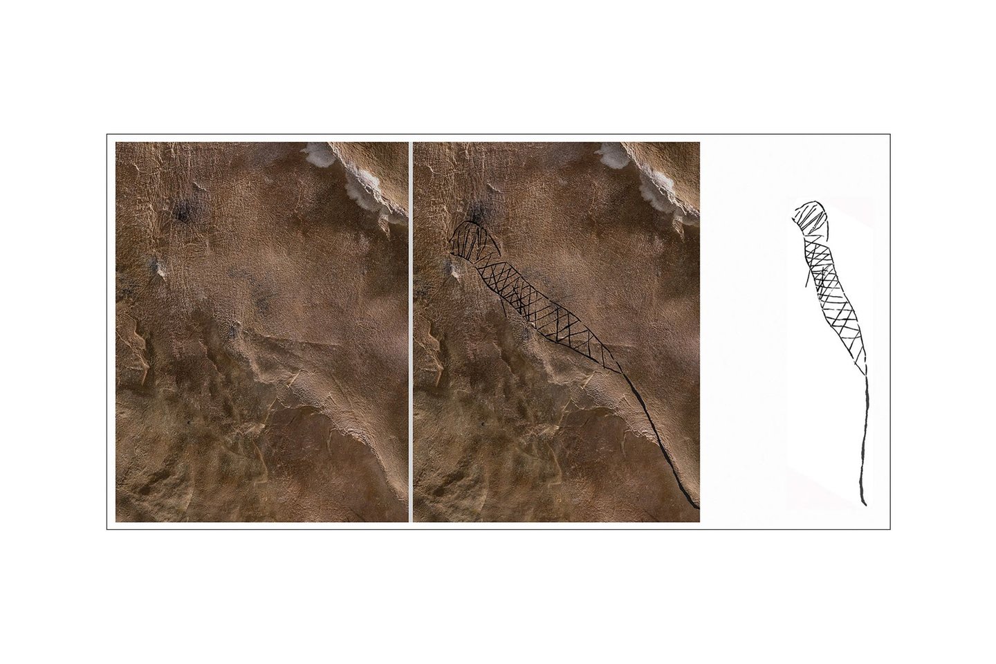  Gyvatės figūra su apvalia galva ir rombų formos kūno žymėmis iš 19-osios neįvardytos olos. Atkreipkite dėmesį, kad išraižyto glifo pagrindas jungiasi su natūraliu plyšiu lubų kalkakmenyje (3,3 m ilgio)<br> A. Cressler nuotr. / J. Simako iliustr.