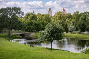 Nuo žiedadulkių kenčiantiems vilniečiams – oro kokybės ir žiedadulkių koncentracijos žemėlapis