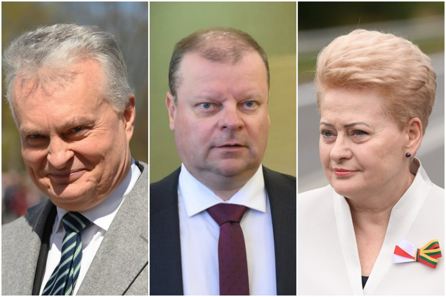 Gyventojų nuotaikos artėjant prezidento rinkimams: poste dažniausiai norėtų matyti G. Nausėdą, S. Skvernelį ir D. Grybauskaitę.<br> Lrytas.lt koliažas