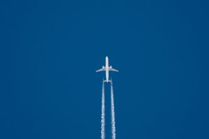 Viena skrydžių bendrovė mažins vietų lėktuvuose skaičių – pritrūko darbuotojų dėl koronaviruso